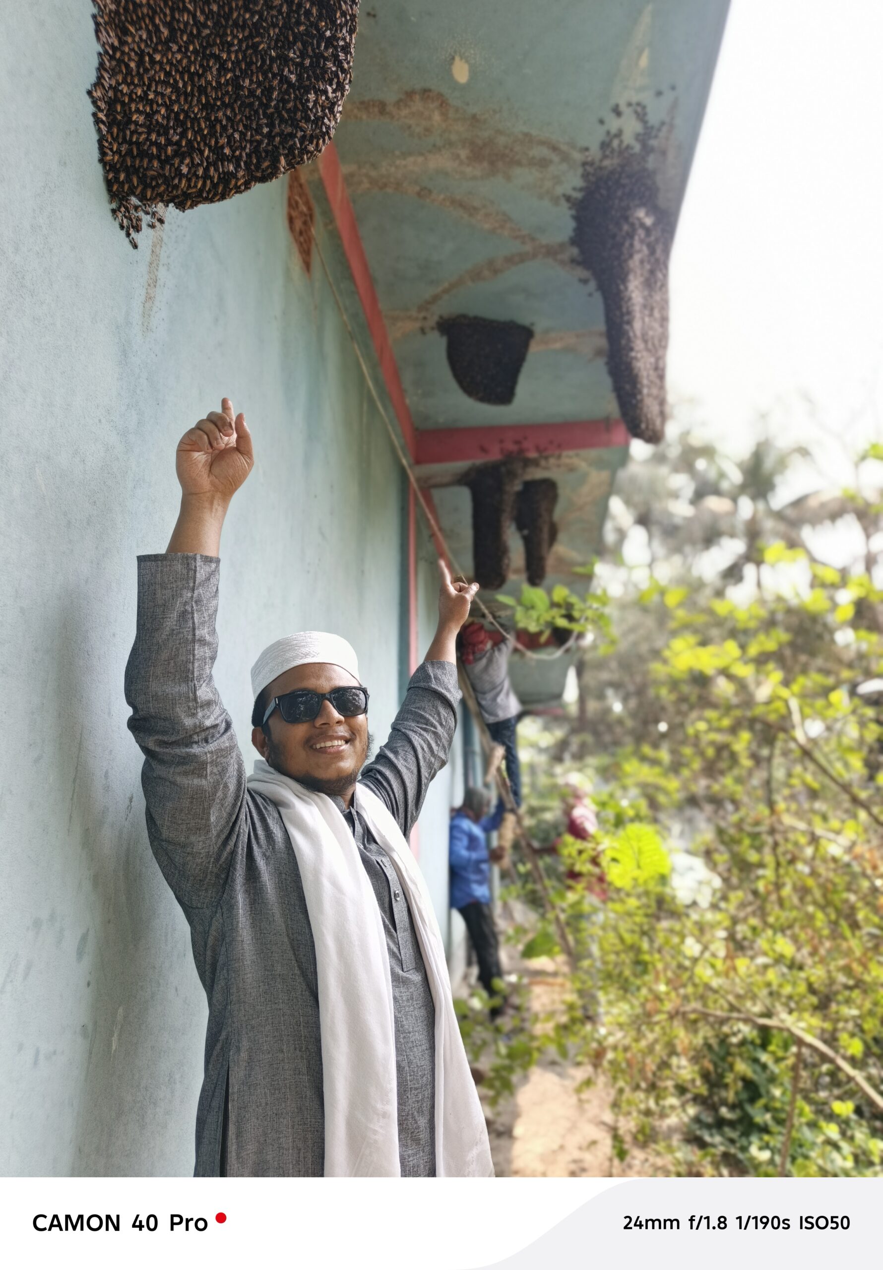 মধু সংগ্রহ ২