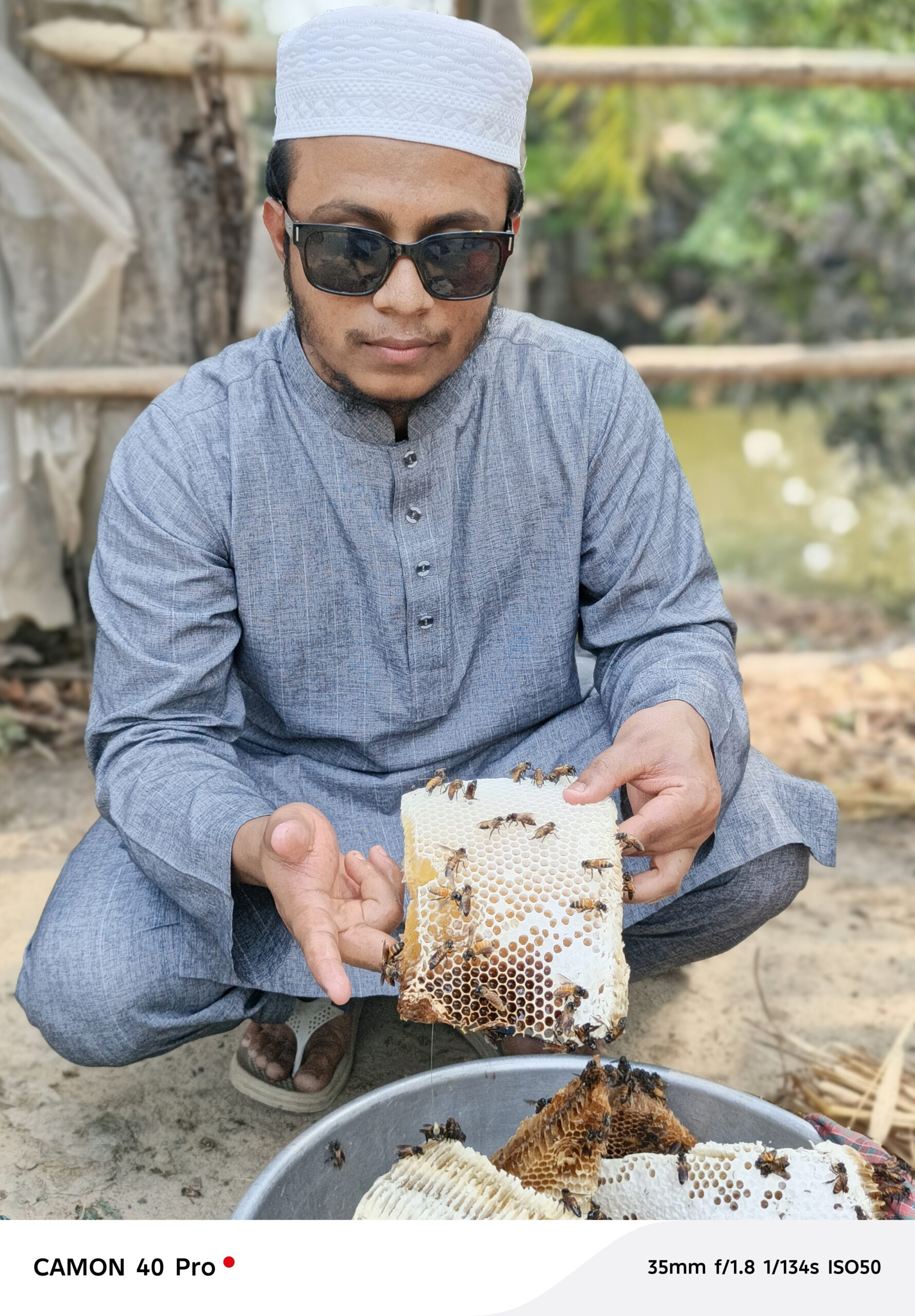মধু সংগ্রহ ১