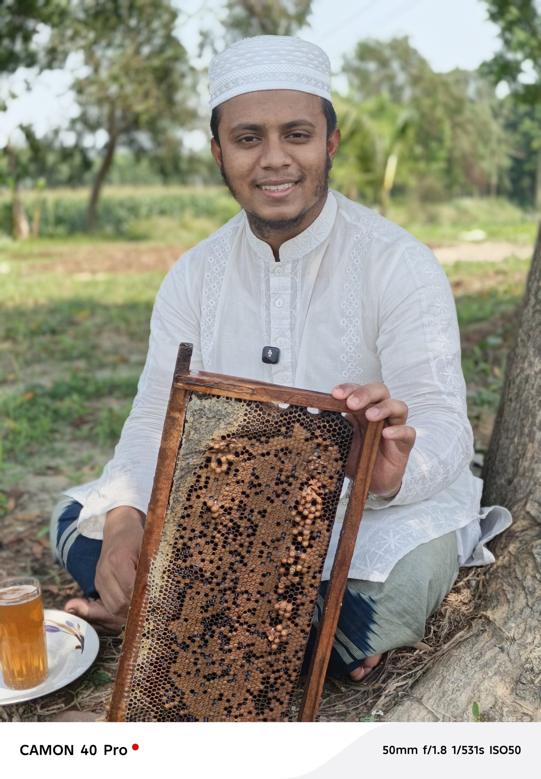 মধু সংগ্রহ ৪